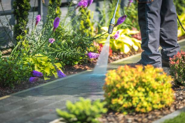Best Driveway Pressure Washing  in Texanna, OK